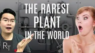 The Rarest Plant in the World! And I have seen it in my OWN EYES!