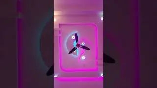 #holl