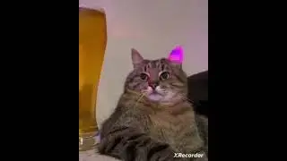 Когда попал на закрытую вечеринку (смешное видео, юмор, приколы, поржать)