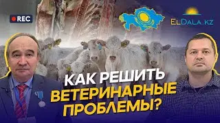 ВЕТЕРИНАРИЯ В РК: как открыть экспортные рынки? Кадры, зарплаты и проблемы отрасли — Абсатиров