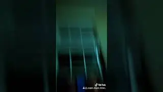 These Two Lesbians Went Wild at Party (18+)