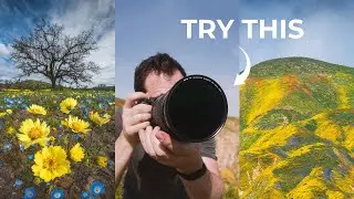 My FAVORITE Wildflower Photography Techniques | Capturing the SUPERBLOOM