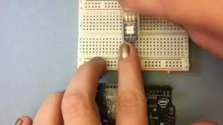 Arduino Basics: Programmable LEDs (NeoPixels)