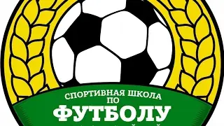 Аполлония (выселки)- СШ по футболу 2(краснодар). Чемпионат ЮФО/СКФО 2020. Киберфутбол
