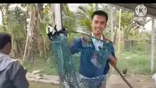 mancing murah berhadiah