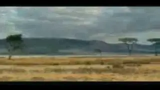 Прикол  Антилопа