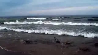 DSCF1341