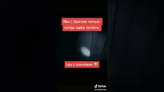 мармок с братом идут ночью попить