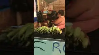San Gennaro 2017