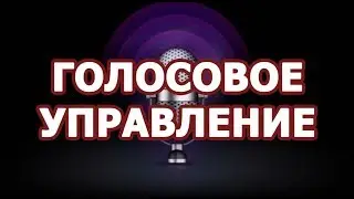 Voice Assistants working demo (announce)