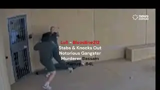 Lofi BloodlineAIGA vs Bassam Hamzy B4L