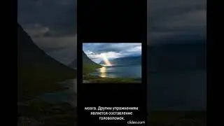 Пятиминутные упражнения для улучшения работы мозга