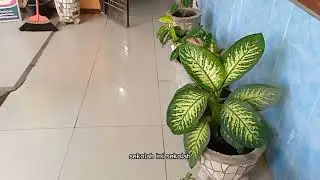 SD Negeri 163096