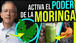 🌱 ASI SE PREPARA Y Consume La MORINGA - Oswaldo Restrepo RSC