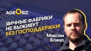 Субсидии в сельском хозяйстве Казахстана — агробизнес может лишиться господдержки? | Максим Божко
