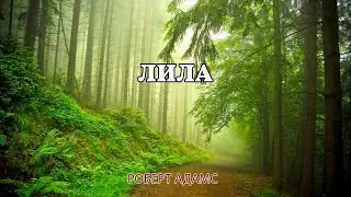 Лила - Роберт Адамс
