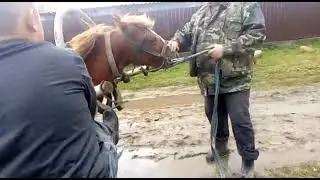 Мой падписчик