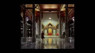 Luwian Professional camera software