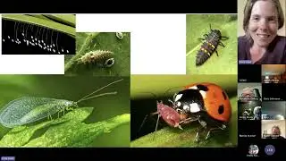 Birds Meet: Creepy Crawlies