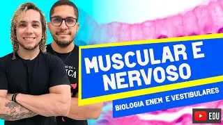 TECIDO MUSCULAR E NERVOSO - AULA 9 ISOLADA DE BIOLOGIA ENEM E VESTIBULARES