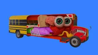 How a School Bus works