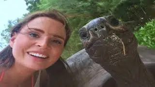 The Funniest Animal Photobombs