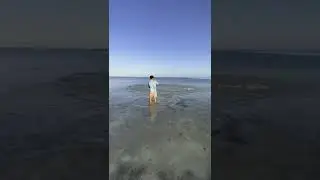 Serpme ağ 