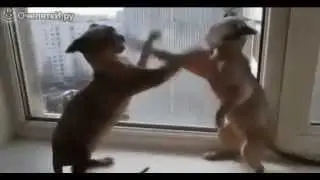 Интересно & Смешно
