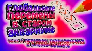 Мой первый скейп. Перезапуск 25-ти литрового аквариума. Планирование