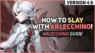 How to Slay with Arlecchino! (Genshin 4.6 Guide)