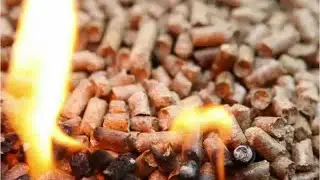 Biofuels/Biodiesel Technology and Product Development Managers Career Video