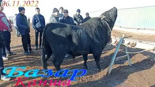 Шымбай мал базары/6-Ноябр/2022/Shimbay mal bazar/mal bazar 2022/скотный рынок/bull/bulls