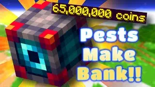 How To Make INSANE Money With Pests!! | Hypixel SkyBlock