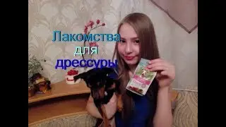 Лакомства для дрессуры/Какие лакомства мы покупаем/Чем дрессировать собаку/Той-терьер Тайсон.