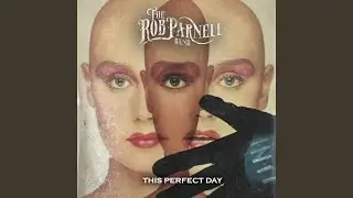 This Perfect Day