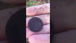 три деньги рядом(находки комрада) 
