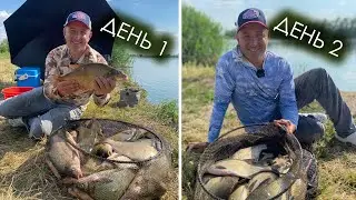 Два дня на реке Дон. Ловим леща на фидер!