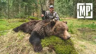 Hunting Giant Eurasian Brown Bear in Croatia  | Mark V. Peterson Hunting