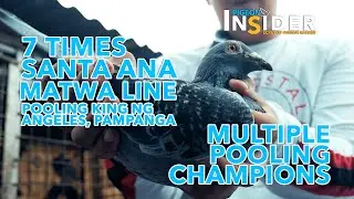 POOLING KING NG ANGELES, PAMPANGA | MATWA LINE BY MIKE VINCENT
