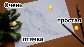 Рисуем птичку
