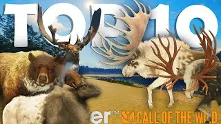 My TOP 10 CRAZIEST GREAT ONES of 2024!!! - Call of the Wild