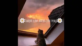 🌧️Танцуй если знаешь этот тренд🌧️