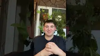 эфир с Дмитрием Семёновым . инструктор методист. реабилитолог. При 31 гкб, Санкт-Петербург. РС (ms)