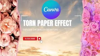 Creating Torn Paper Effect in Canva | Tutorial