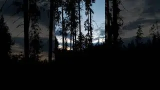После заката. Шумит ручей, горит костер (смотреть со звуком) #nature #поход