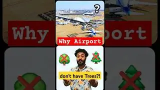 why Airports have NO Trees 🤯😰 #facts #share #details #mustknow #explained #science #accident #safety