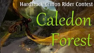 Caledon Forest // Contest Entry // Griffon Flying in GW2