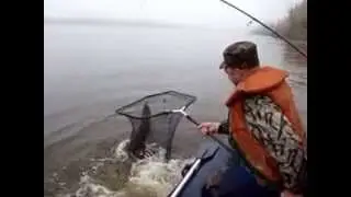 Поймал щуку 14 кг