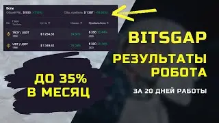 BITSGAP // Отчёт о работе бота на дистанции 20 дней