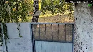 🔴И снова прилёт по Константиновке.